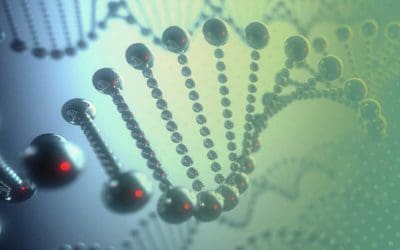 BBCR’s team of experts help clients match treatments to rare genetic conditions and unsolved diseases, then work cohesively with a product developer on the best plan to market.