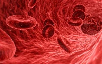 Gene Therapy for Type 1 Diabetes Targets Treatment of Autoimmunity