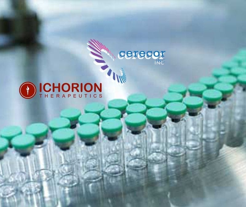 A success story by BBCR Consulting: Candida Fratazzi MD  was CMO at Ichorion Therapeutics in 2018