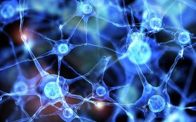 Inflammation is a recognized cause of Neurodegeneration.