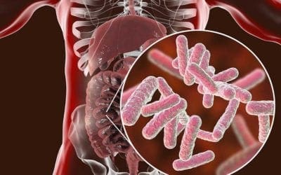 How to shape clinical plan and study design to test how microbiome shapes immunity.