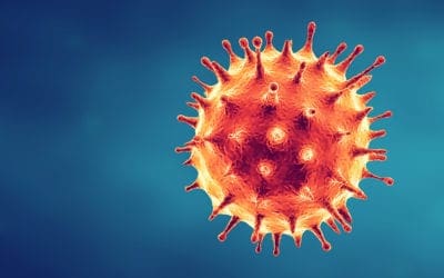 COVID19 Infects the Nervous System