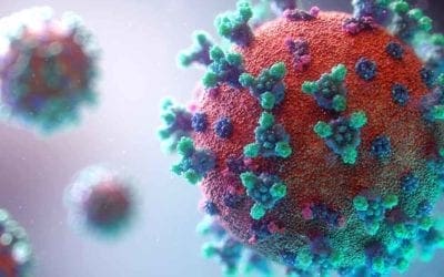 Early loss of COVID-19 antibodies! …Plus hope for good news from the several vaccines currently in development.