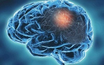 Artificial intelligence Diagnostic tool for COVID-19 and Neurodegenerative Diseases