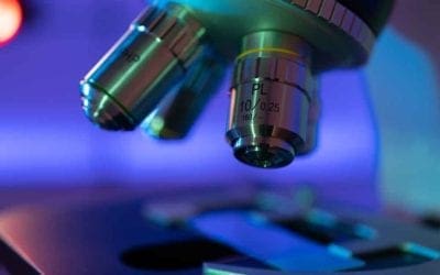 Breakthrough Therapy Designation and Orphan drugs