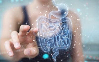 COVID-19 Severity and Immune Response Tied to Gut Bacteria