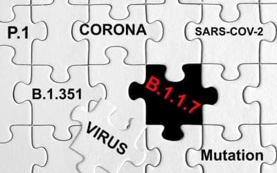 New Spike Mutants from SARS-CoV-2