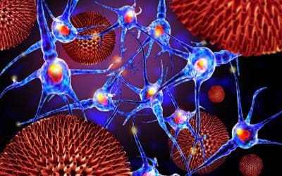 Drug Development for Rare Duchenne Muscular Dystrophy (DMD)