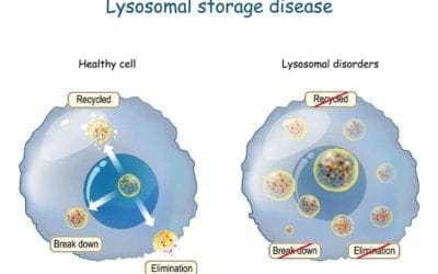 Cell and gene advanced therapy in the Battle for Lysosomal Storage Disease