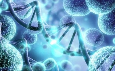 Application of CAR Cell Therapy in Solid Cancer