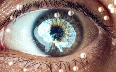 Recent Advance of Gene Therapy in Rare Diseases