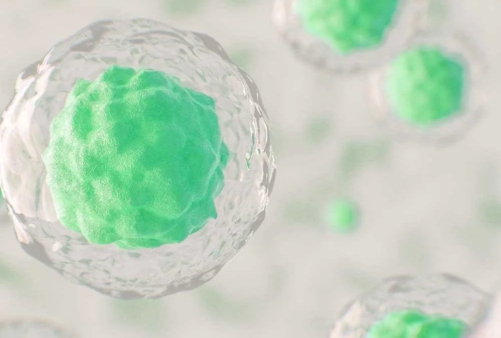 Identification and adoption of biomarkers are especially valuable in rare disease and precision medicine product development. BBCR can assist in developing your biomarker plan and validation process.