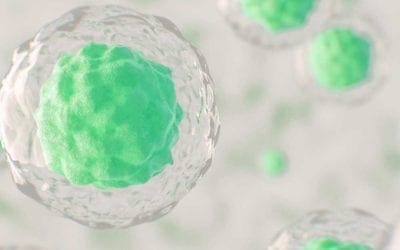 Identification and adoption of biomarkers are especially valuable in rare disease and precision medicine product development. BBCR can assist in developing your biomarker plan and validation process.