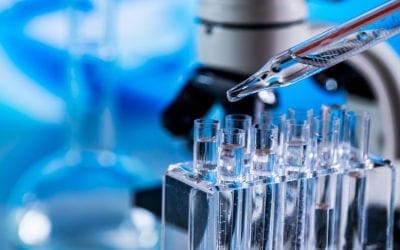 BBCR’s experienced team in Regulatory Affairs FDA and EMA assists clients in simplifying complex and evolving regulatory processes.