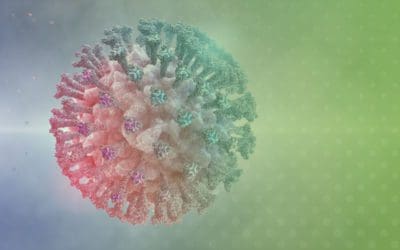 Omicron, the second variant of concern after the Delta SARS-CoV-2 variant.