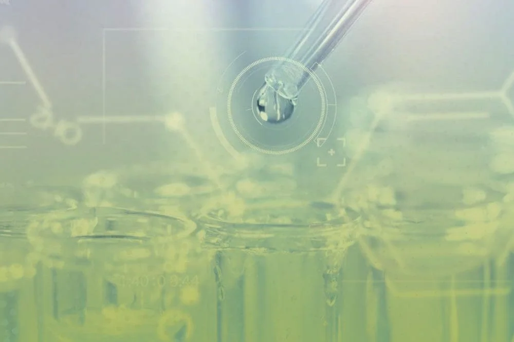 BBCR’s team of experts help to streamline clinical development strategies for biotech companies, venture capitalists, investors, research organizations and pharmaceutical companies.